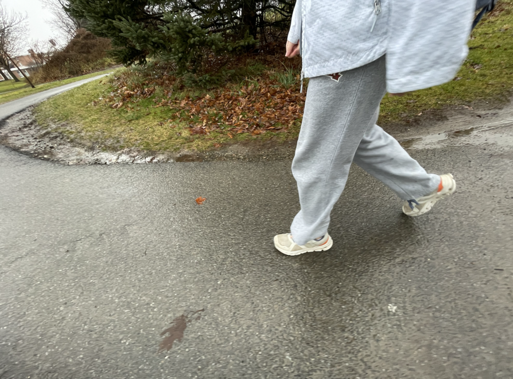 Recent Student Step Study – The Hill News